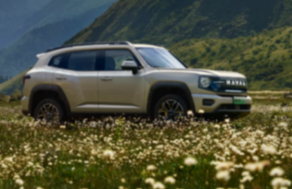 長城汽車魏建軍:誰在發布會過度宣傳,回來就要先受處分 圖片