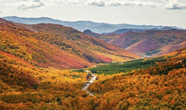 “冬天冷不冷,就看九月初一”,今年會出現極寒冷冬嗎?答案來了