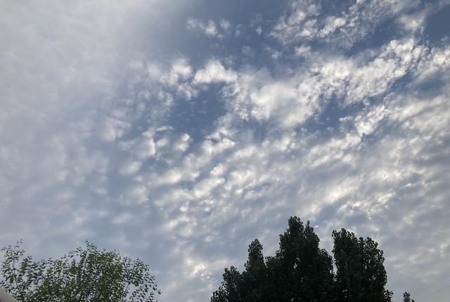 “冬天冷不冷,就看九月初一”,今年會出現極寒冷冬嗎?答案來了