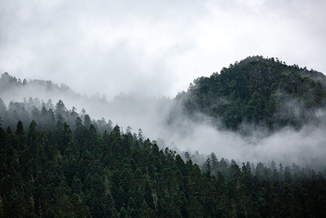 女子參加荒野求生14天后瘦成閃電:極限挑戰背后的堅韌與蛻變